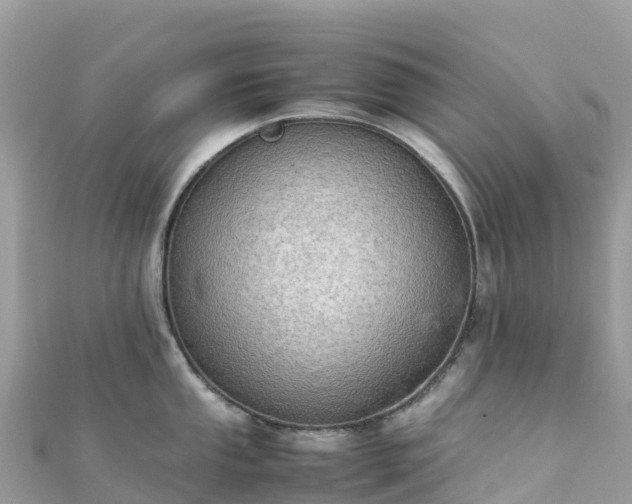 X0000111861053200907301127