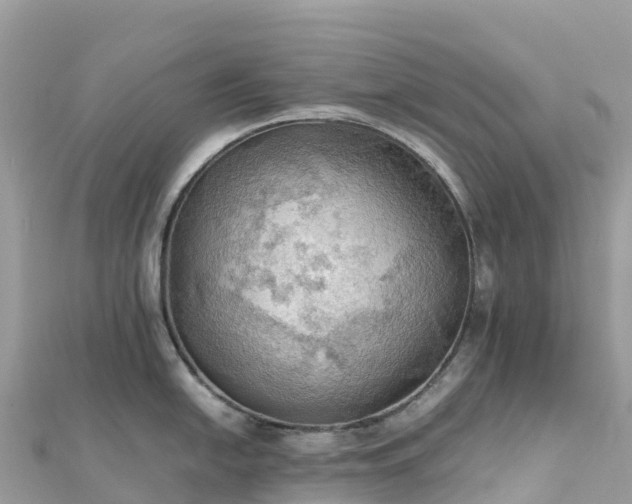 X0000111861054200907301127