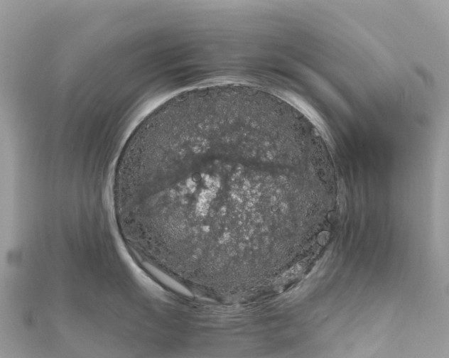 X0000111861055200907301127