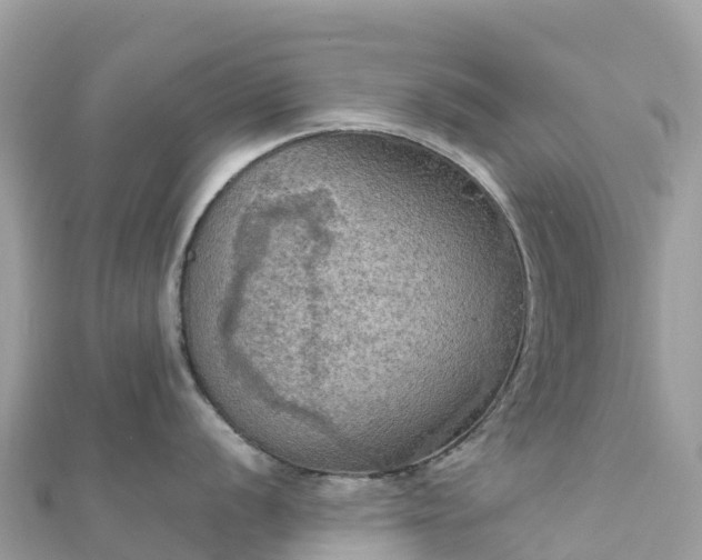 X0000111861056200907301127