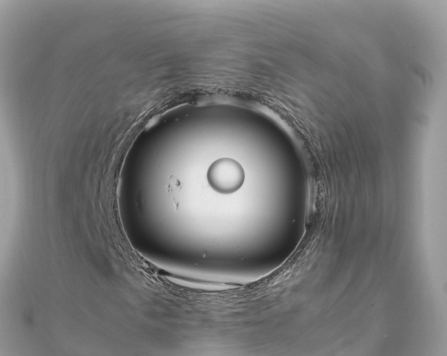 X0000111861057200907301126