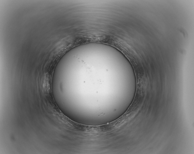 X0000111861058200907301126