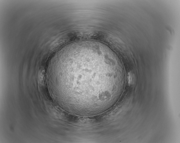 X0000111861059200907301126