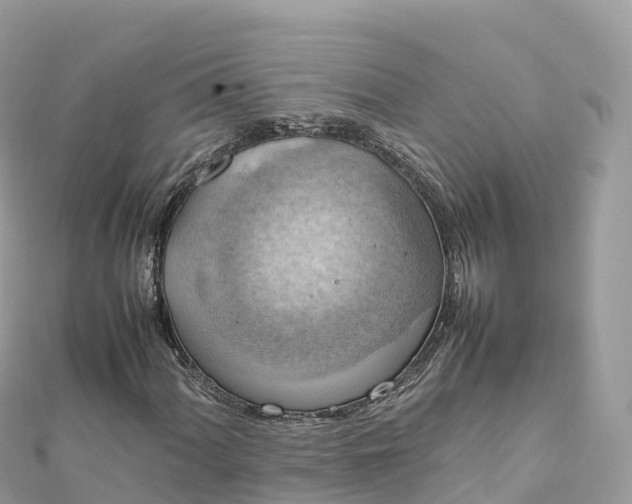 X0000111861060200907301126