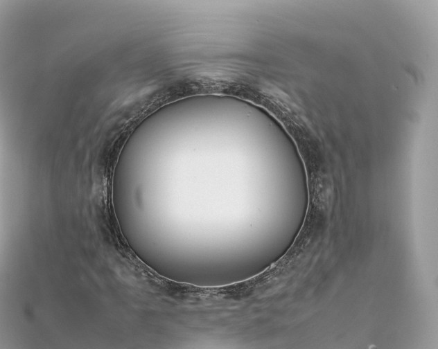 X0000111861061200907301126