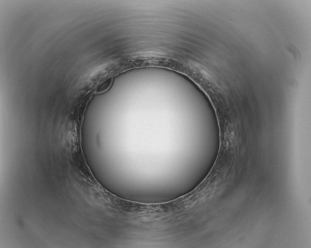 X0000111861062200907301126