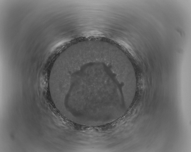 X0000111861063200907301126