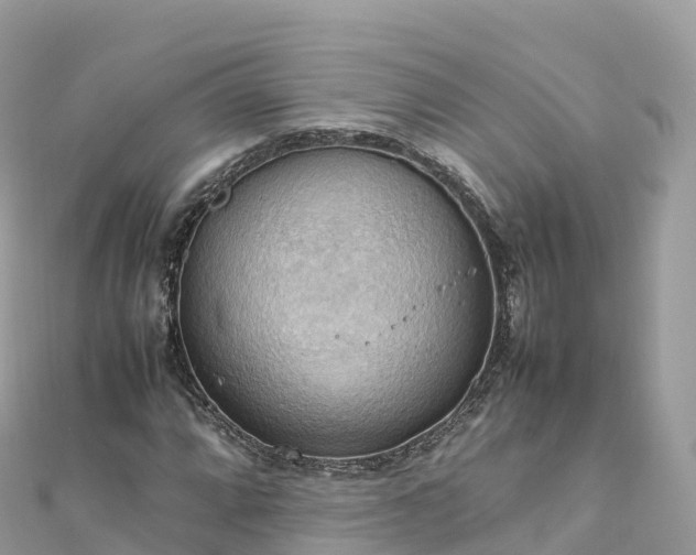 X0000111861064200907301126