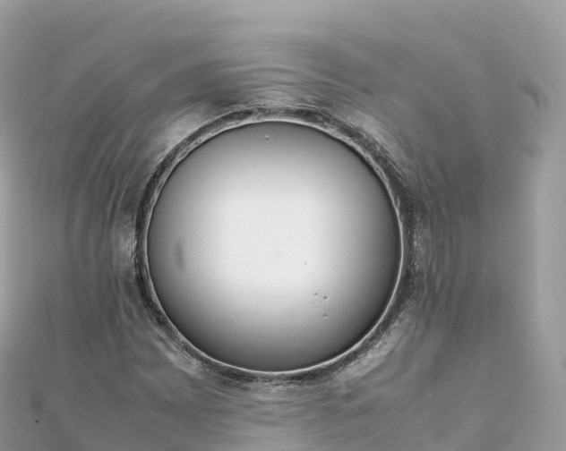 X0000111861065200907301126