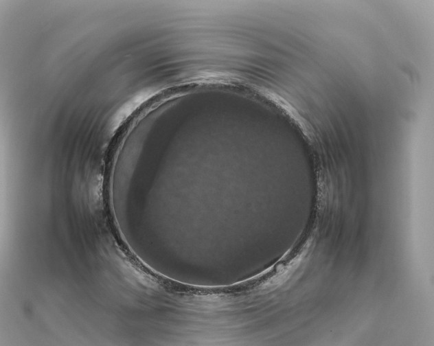 X0000111861066200907301126