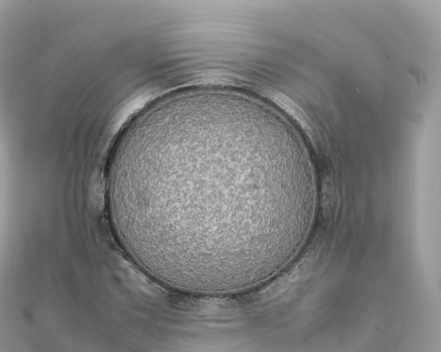 X0000111861067200907301126