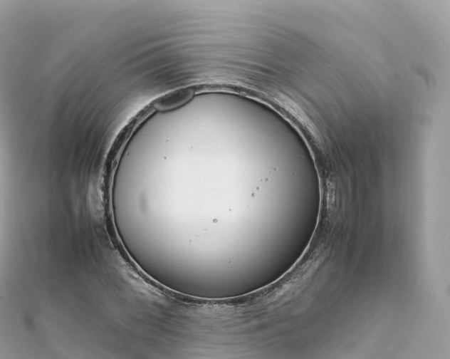 X0000111861068200907301126