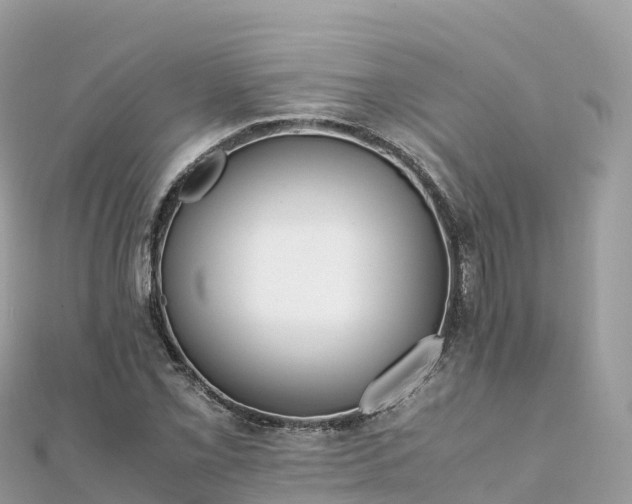 X0000111861069200907301126