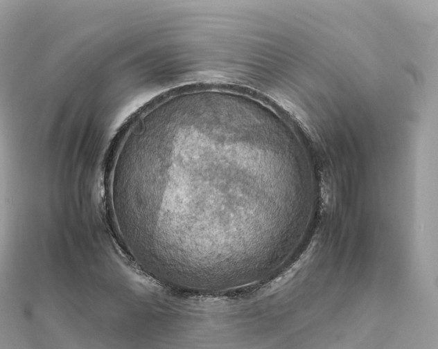 X0000111861070200907301126