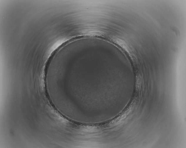 X0000111861071200907301126