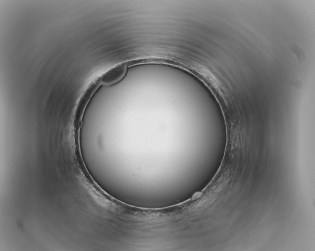 X0000111861072200907301126