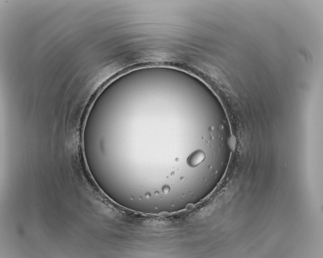 X0000111861073200907301126