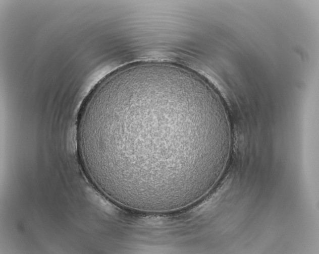 X0000111861075200907301126