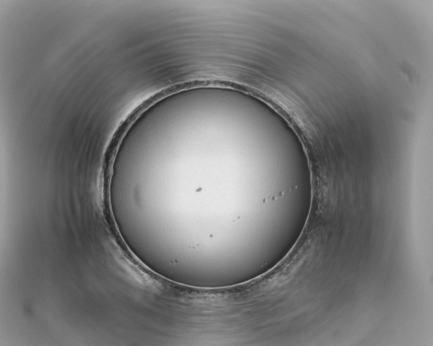 X0000111861076200907301126