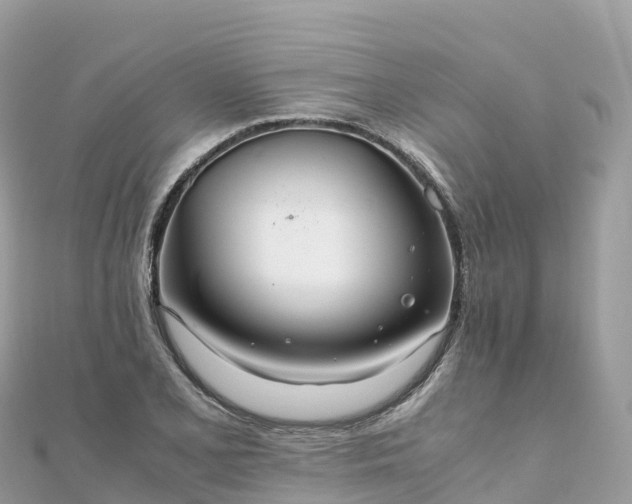 X0000111861077200907301126