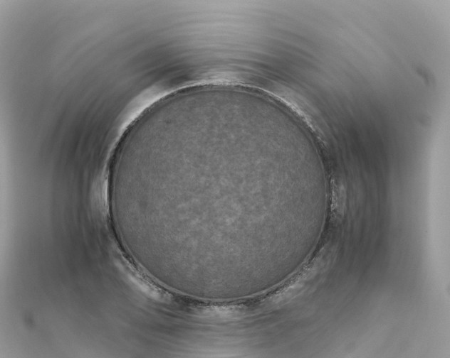 X0000111861078200907301126