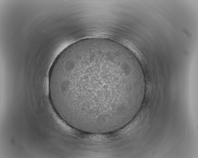 X0000111861079200907301126