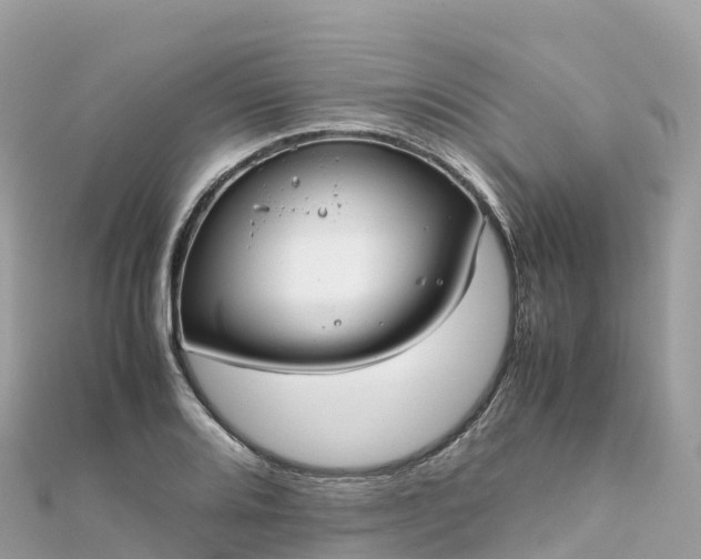 X0000111861080200907301126