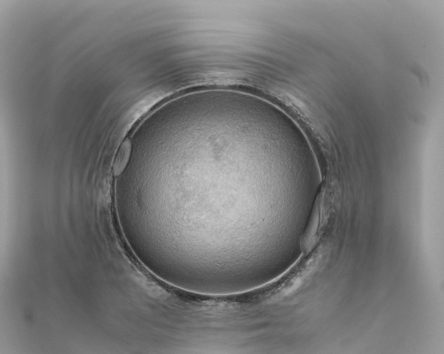 X0000111861081200907301126