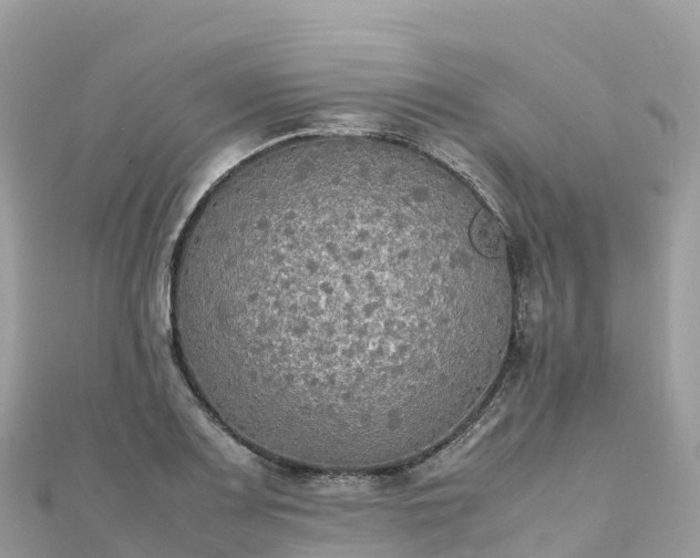 X0000111861083200907301126