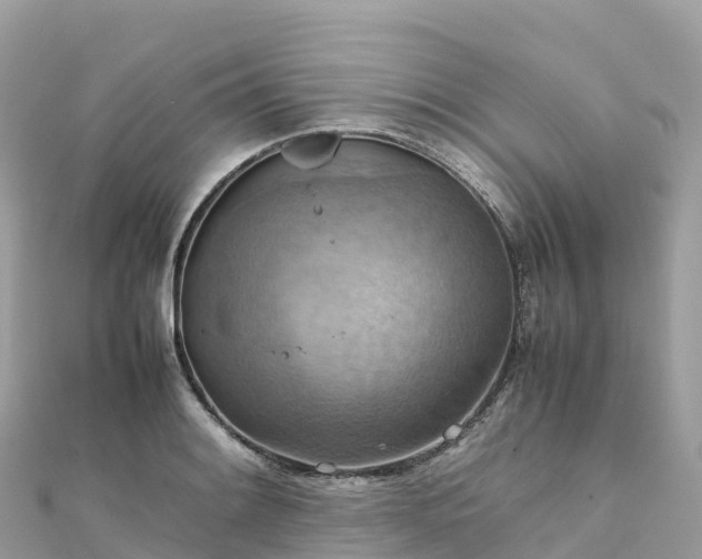 X0000111861084200907301126