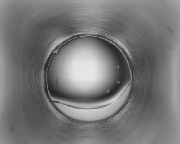 X0000111861085200907301126