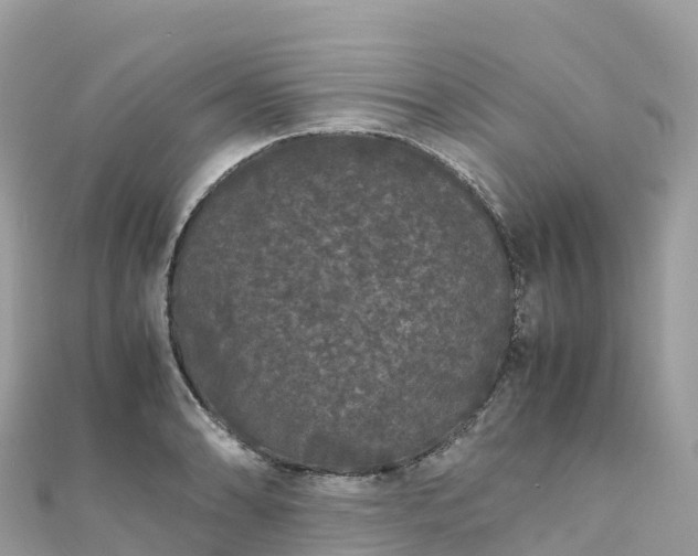 X0000111861086200907301126