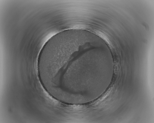 X0000111861087200907301126