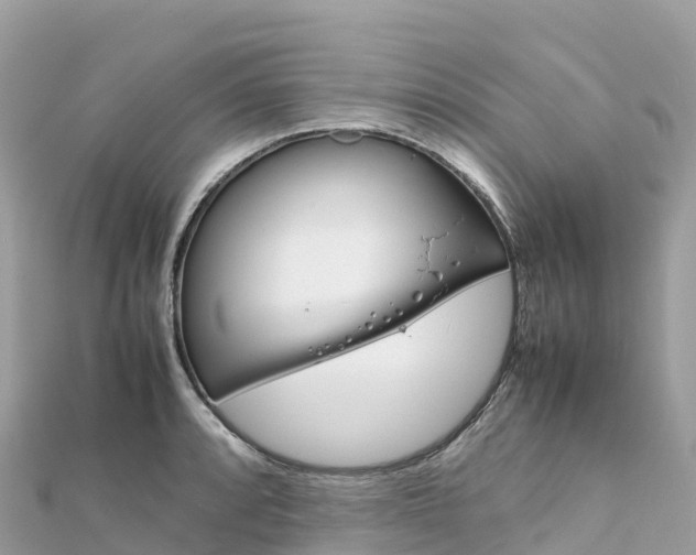 X0000111861088200907301126