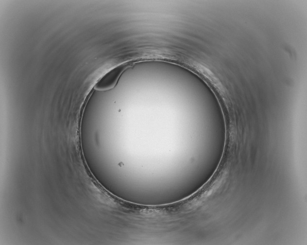 X0000111861089200907301126