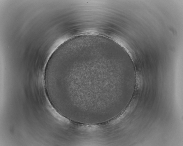 X0000111861090200907301126