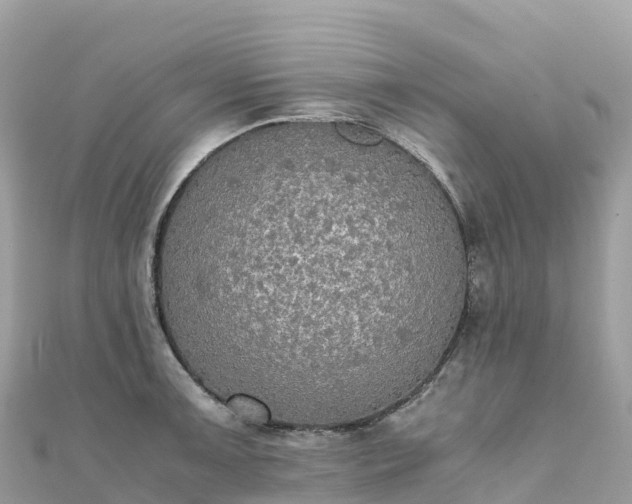 X0000111861091200907301126