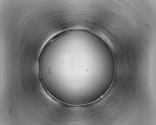 X0000111861092200907301126