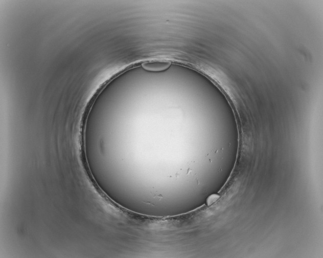 X0000111861093200907301126