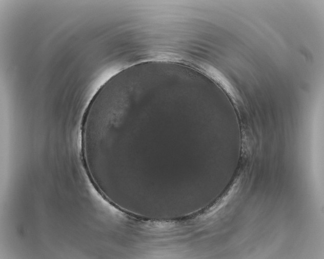 X0000111861095200907301126