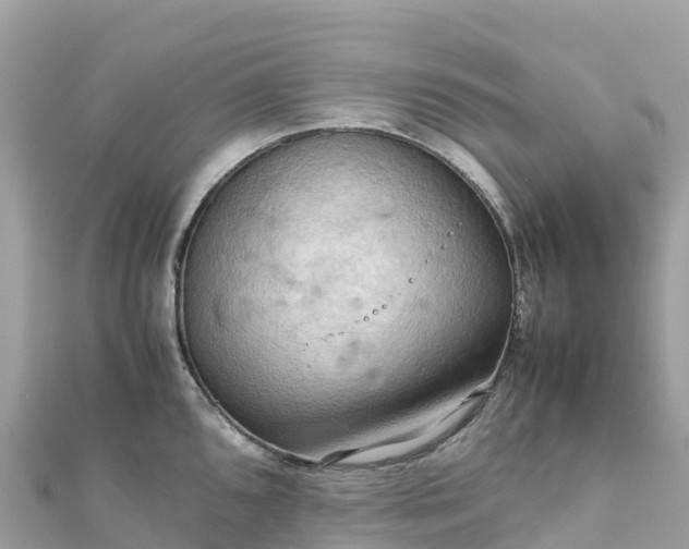 X0000111861096200907301126