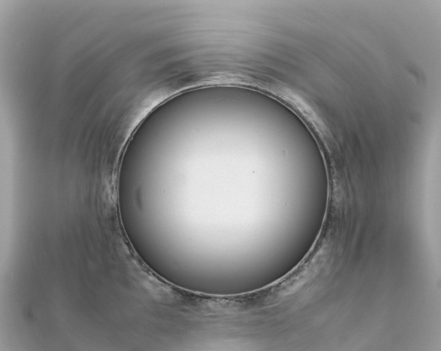 X0000111861097200907301126