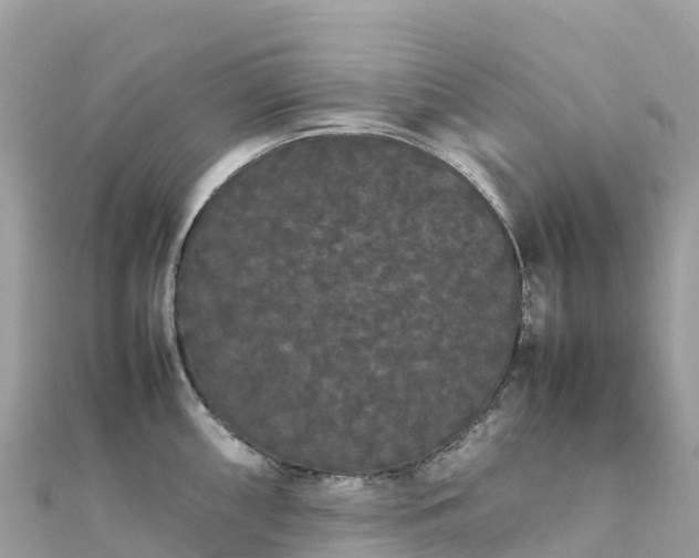 X0000111861098200907301126