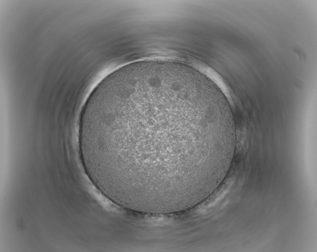 X0000111861099200907301126