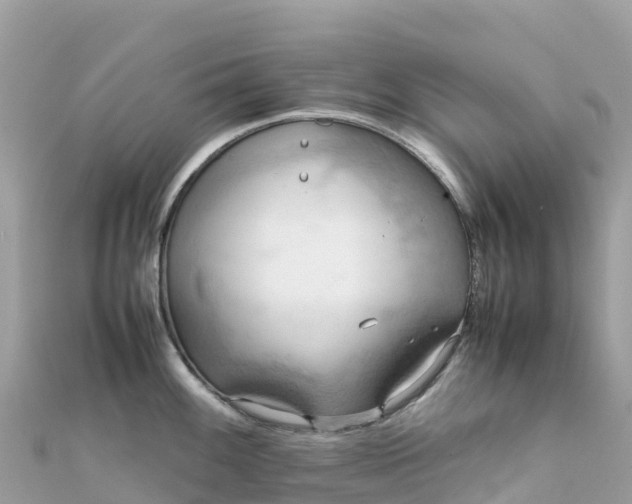 X0000111861100200907301126