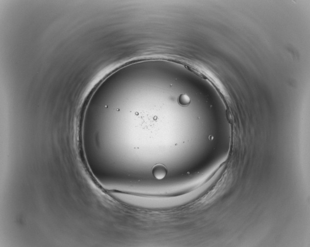 X0000111861101200907301126