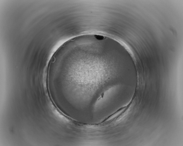 X0000111861102200907301126