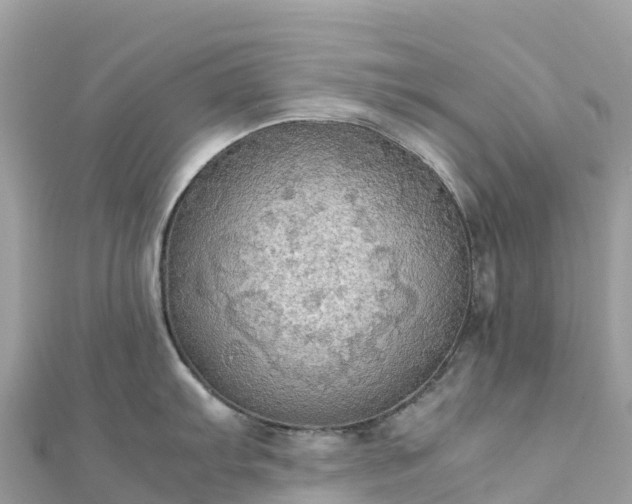 X0000111861103200907301126