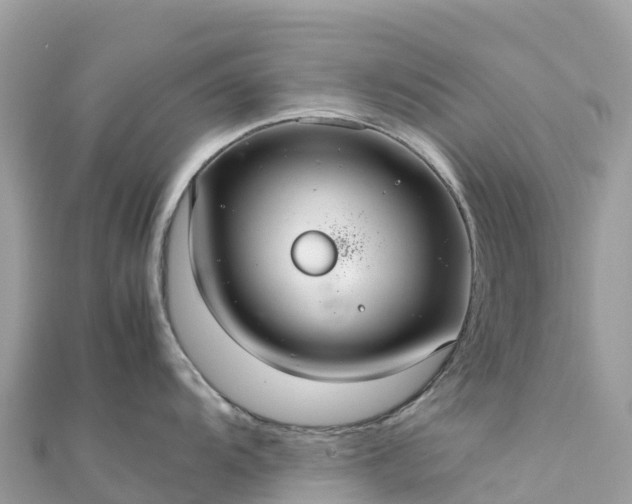 X0000111861104200907301126