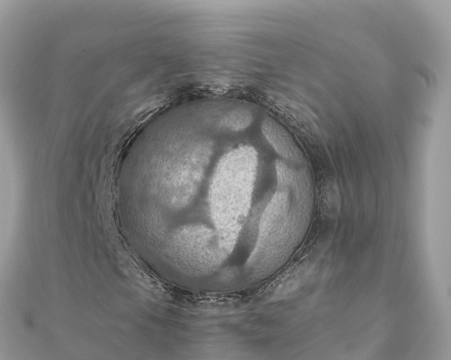 X0000111861105200907301125